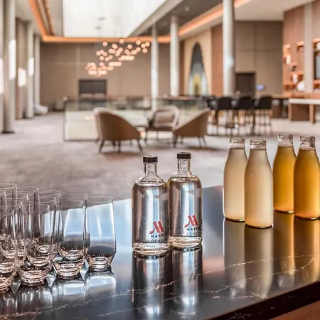 Geneva Marriott Meyrin